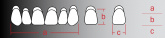 Планки четырехслойных зубов REF-LINE, фронт, верх